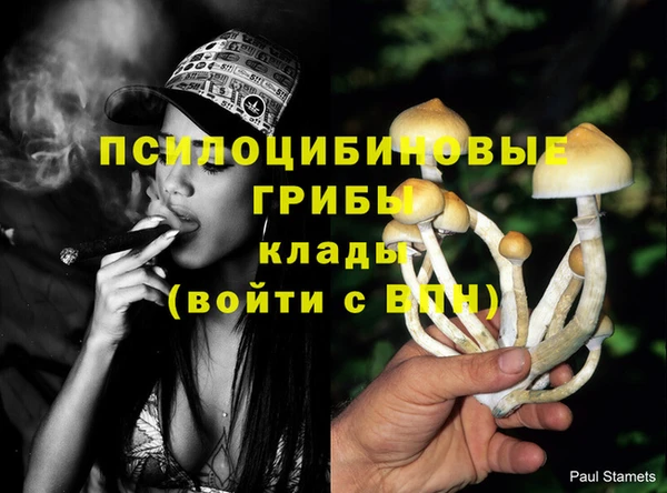 крисы Алексин