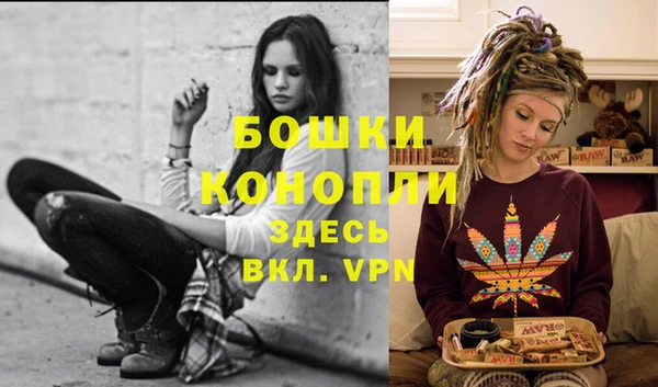 ешки Алексеевка