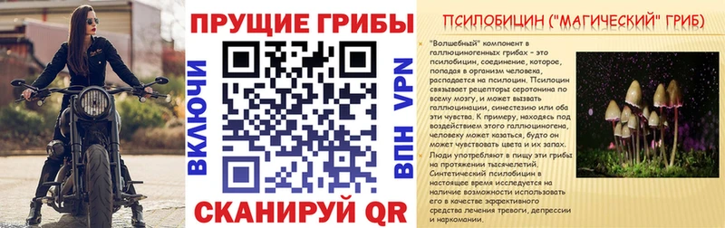 Псилоцибиновые грибы MAGIC MUSHROOMS  гидра tor  Жуков 