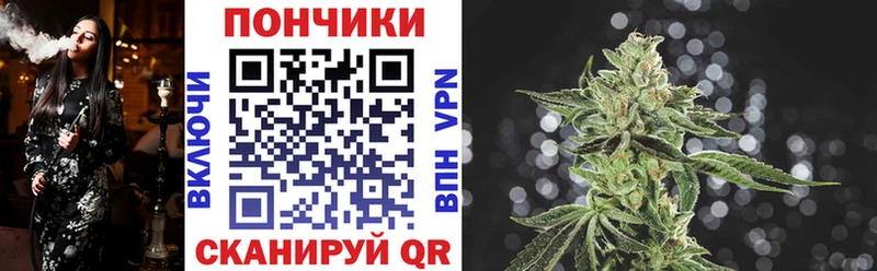 darknet телеграм  Жуков  Бошки Шишки Ganja 